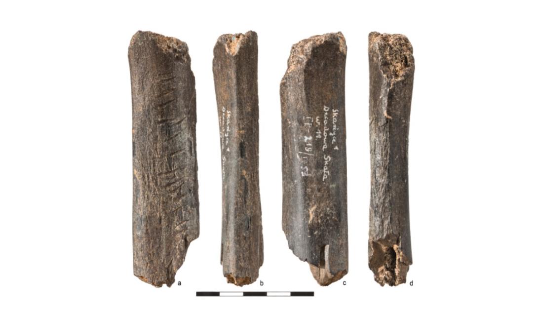 Pesquisadores identificam exemplo mais antigo da cultura neandertal-0
