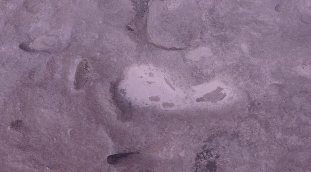 Encontradas as primeiras pegadas do Homo erectus-0