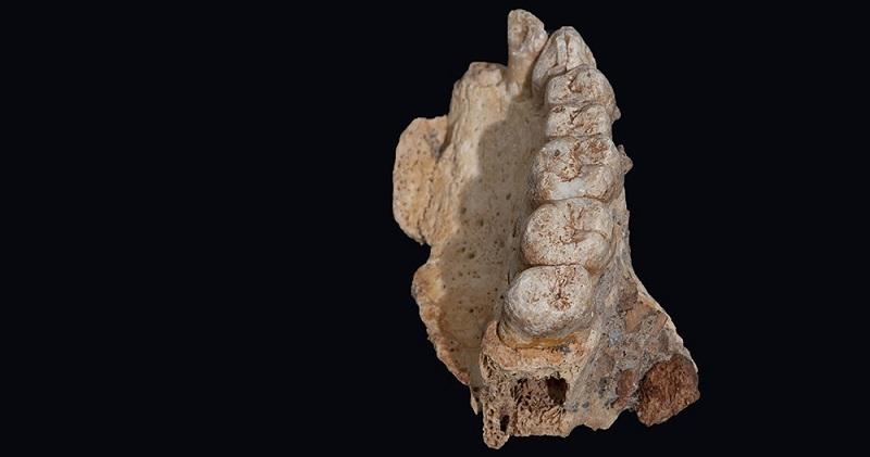 Descoberta de fóssil indica que humanos migraram da África antes do que se imaginava-0