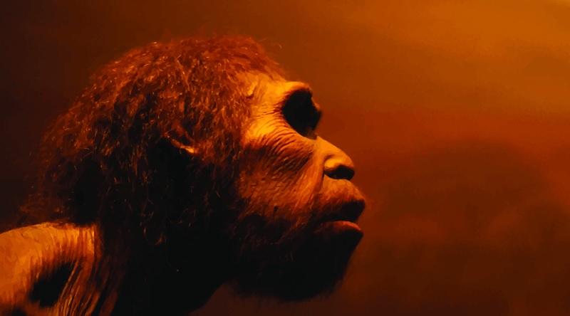 Descoberta indica que neandertais eram capazes de produzir arte-0