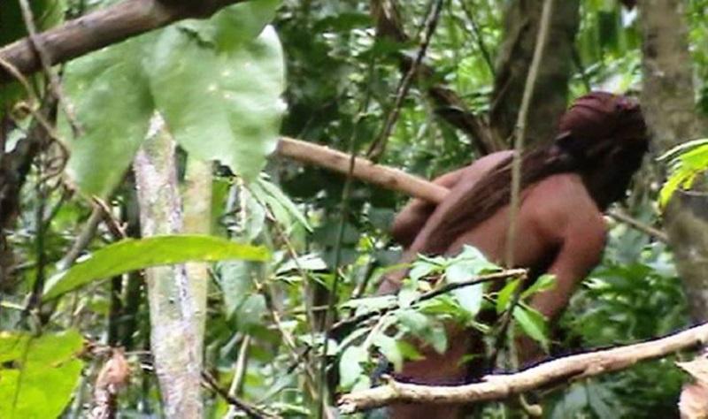 Amazônia: "Índio do Buraco" pode ser a pessoa mais solitária do mundo-0