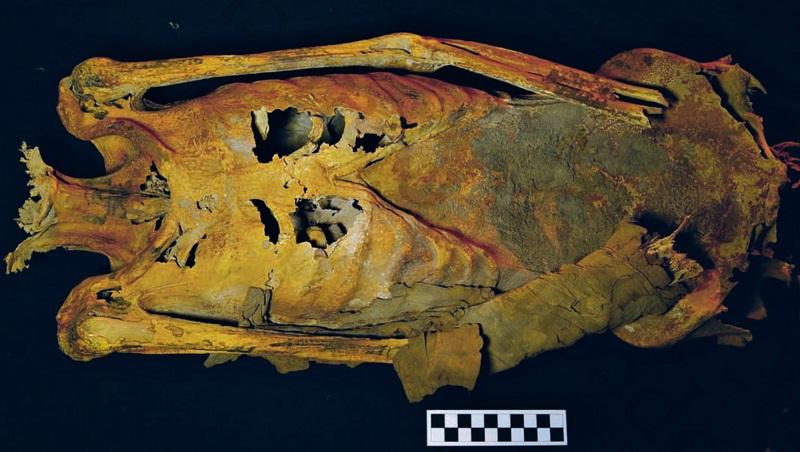Desvendado mistério de múmia tatuada egípcia  -0