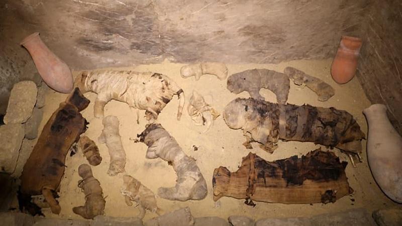 Dezenas de múmias de gatos encontradas no Egito-0