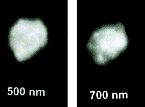 Descoberto Juno, um dos quatro asteroides do Cinturão Principal-0