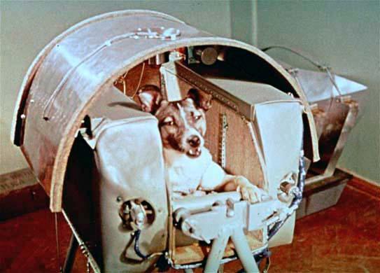 Cadela Laika torna-se o primeiro ser vivo a ser lançado ao espaço-0
