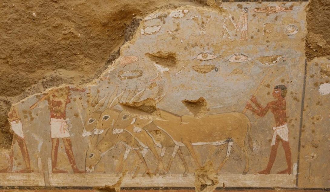 Pinturas incrivelmente bem preservadas são encontradas em tumba de 4.300 anos no Egito-0